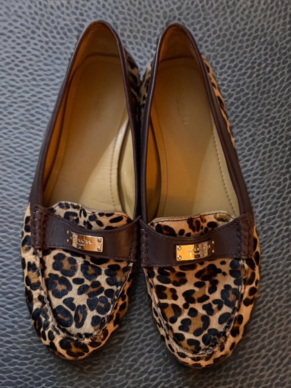 Coach Leopard-Print Loafers in Brown & Black - Picture 2 of 10